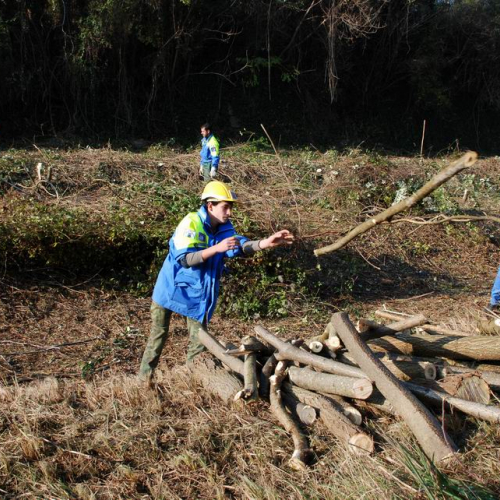 Esercitazione 20/11 n. 1 54 / 73094