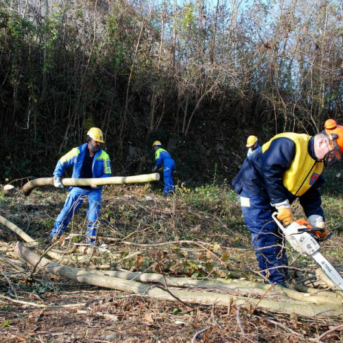 Esercitazione 20/11 n. 1 55 / 73095