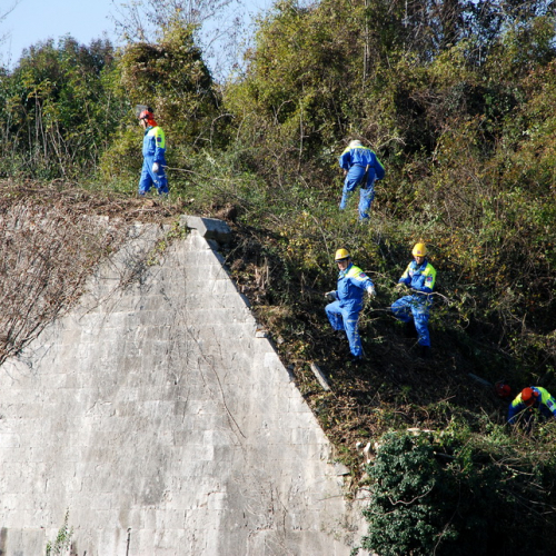 Esercitazione 12/11 n. 36 / 72405