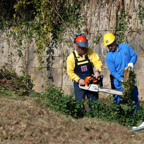 Esercitazione 12/11 n. 39 / 72408