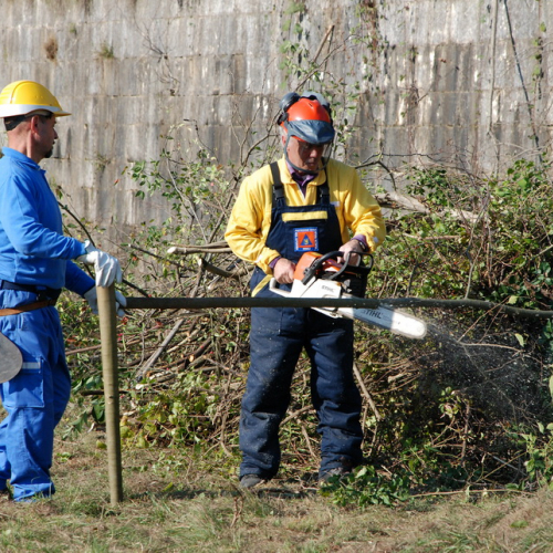 Esercitazione 12/11 n. 41 / 72410