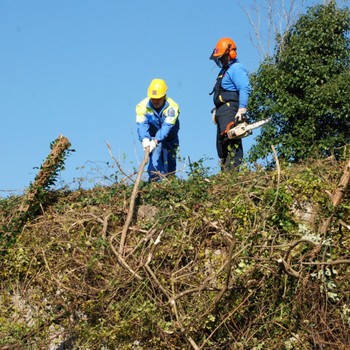 Esercitazione 12/11 n. 42 / 72411