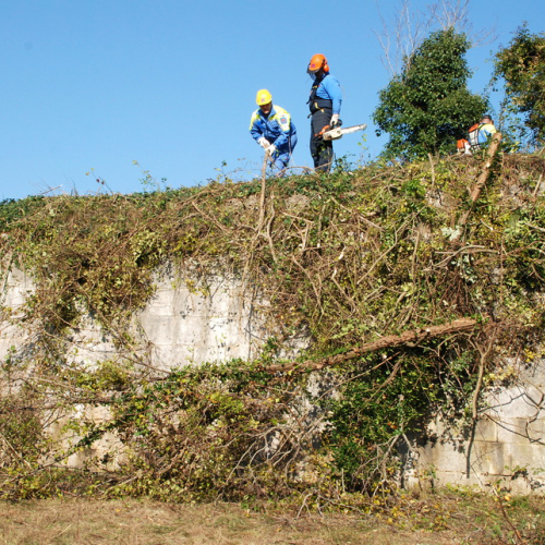 Esercitazione 12/11 n. 43 / 72412