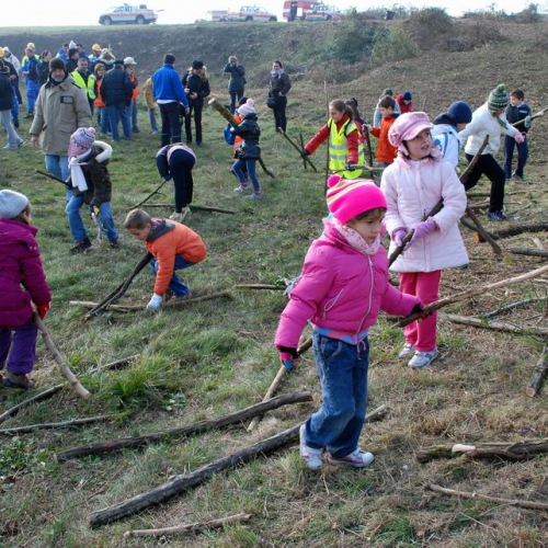 Visita bambini n. 15 / 72978