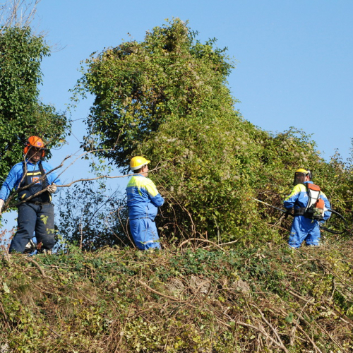 Esercitazione 12/11 n. 45 / 72414