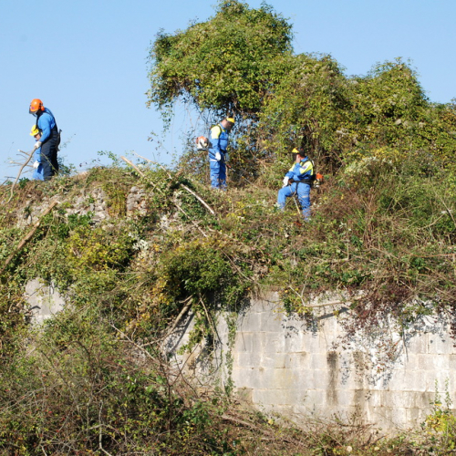 Esercitazione 12/11 n. 46 / 72415