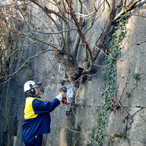 Esercitazione 12/11 n. 69 / 72438