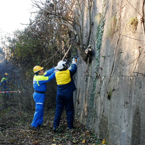 Esercitazione 12/11 n. 70 / 72439