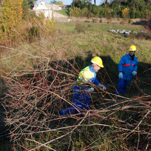 Esercitazione 12/11 n. 81 / 72450