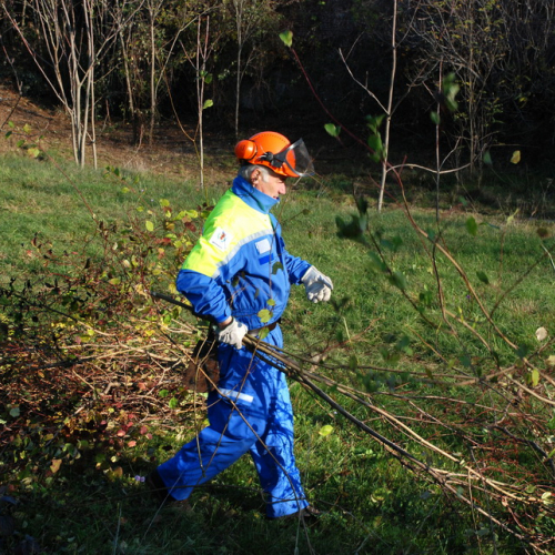 Esercitazione 12/11 n. 85 / 72454