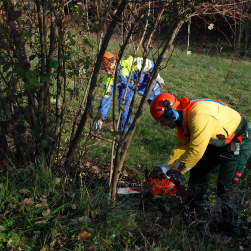 Esercitazione 12/11 n. 86 / 72455