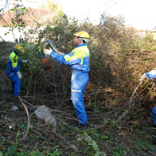 Esercitazione 12/11 n. 91 / 72460