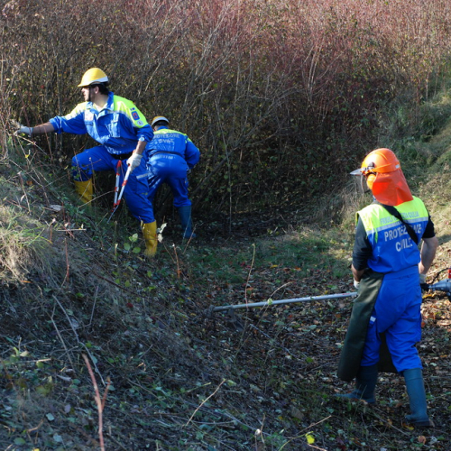 Esercitazione 12/11 n. 94 / 72463