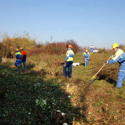 Esercitazione 12/11 n. 97 / 72466