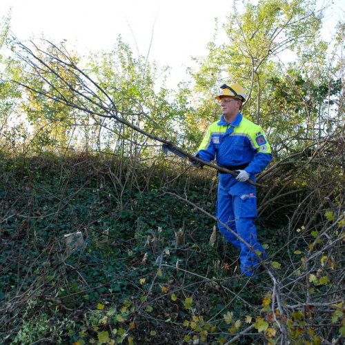 Esercitazione 12/11 n. 99 / 72468