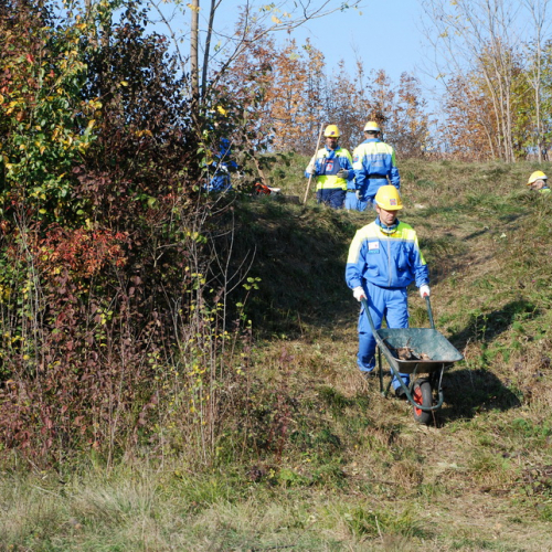 Esercitazione 12/11 n. 100 / 72469