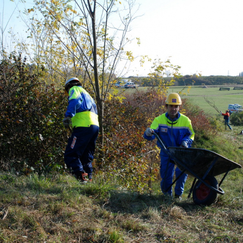 Esercitazione 12/11 n. 102 / 72471