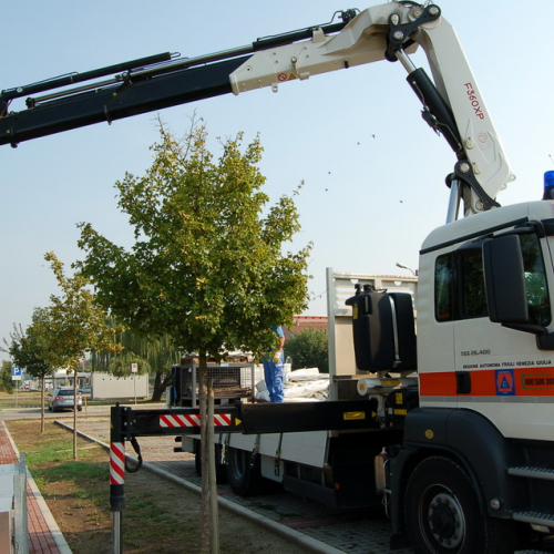 Montaggio tenso strutture n. 11 / 85864