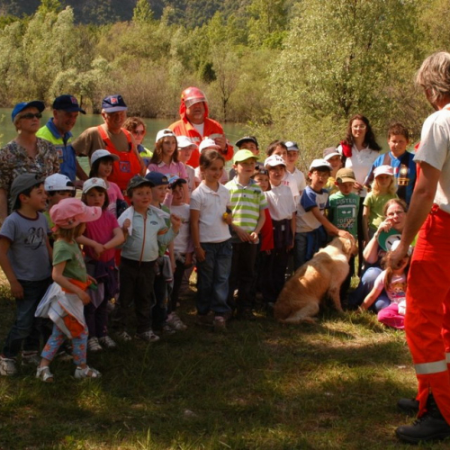 Attivit‡ con le scuole 10/05/11 n. 14 / 65541