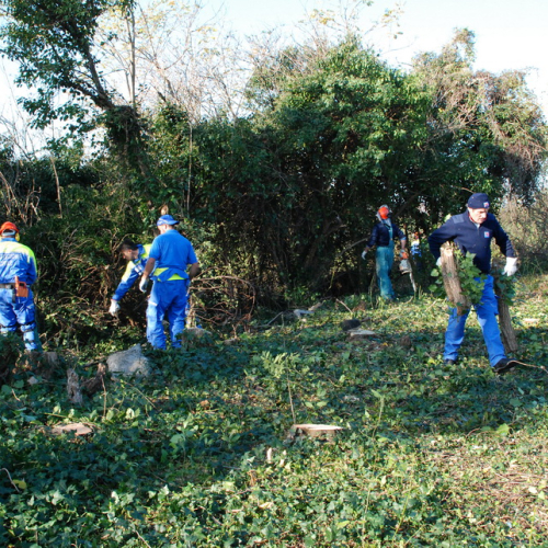 Esercitazione 13/11 n. 12 / 72693