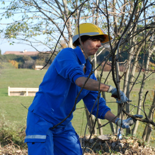 Esercitazione 13/11 n. 18 / 72699