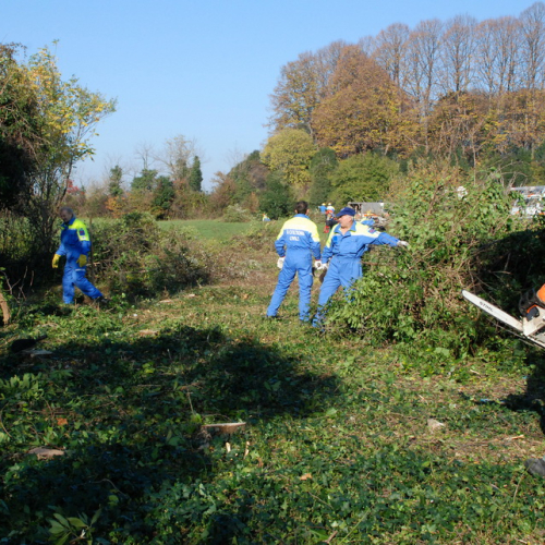 Esercitazione 13/11 n. 21 / 72702