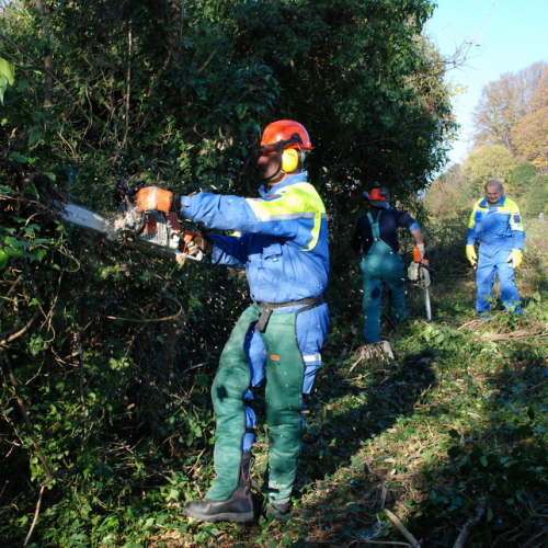 Esercitazione 13/11 n. 22 / 72703