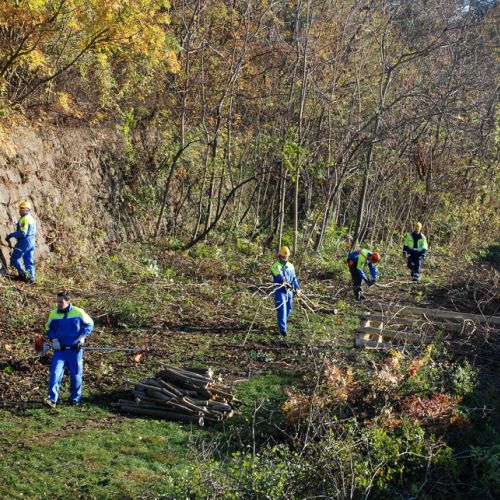 Esercitazione 13/11 n. 27 / 72708