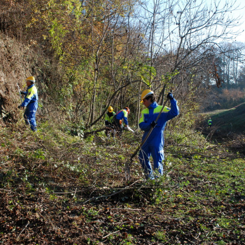 Esercitazione 13/11 n. 30 / 72711