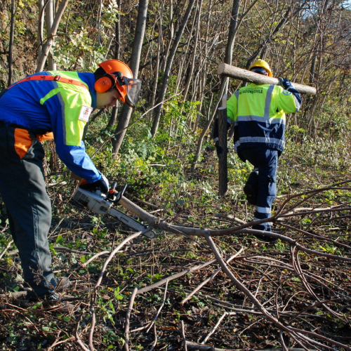 Esercitazione 13/11 n. 31 / 72712