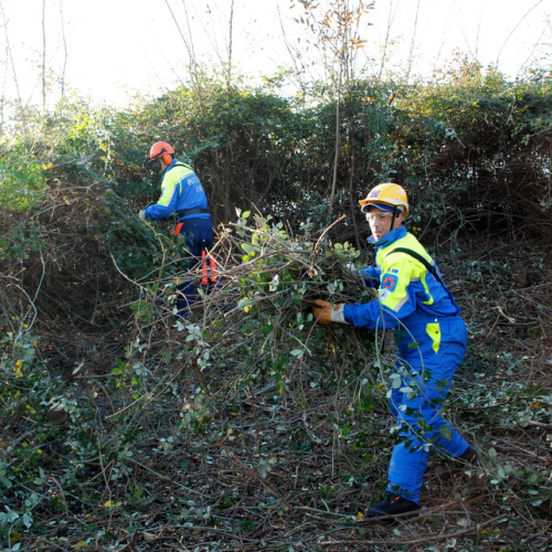 Esercitazione 13/11 n. 39 / 72720