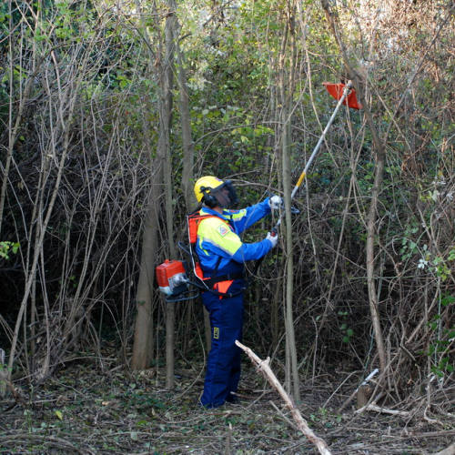 Esercitazione 13/11 n. 40 / 72721
