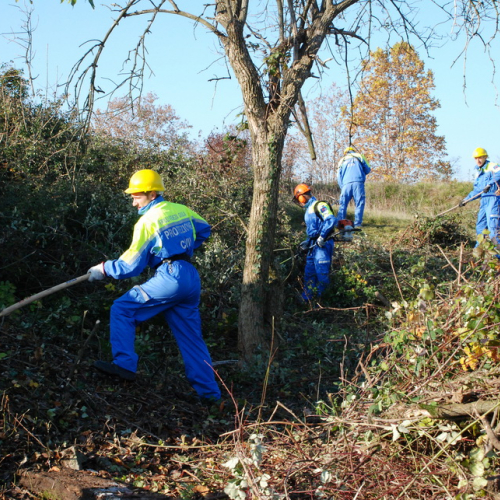 Esercitazione 13/11 n. 46 / 72727