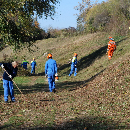 Esercitazione 13/11 n. 48 / 72729