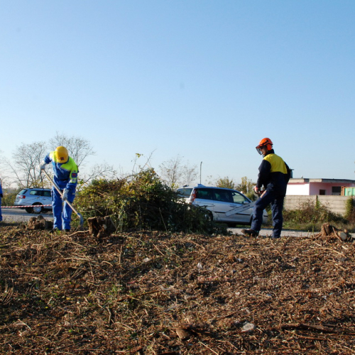 Esercitazione 13/11 n. 50 / 72731
