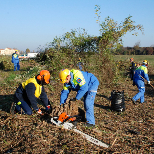 Esercitazione 13/11 n. 55 / 72736