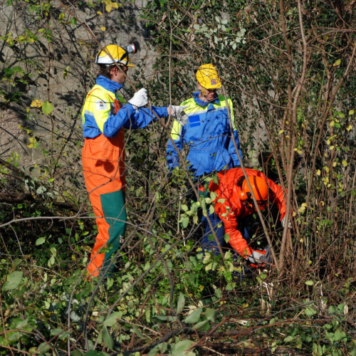Esercitazione 13/11 n. 56 / 72737