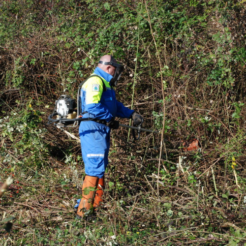 Esercitazione 13/11 n. 57 / 72738