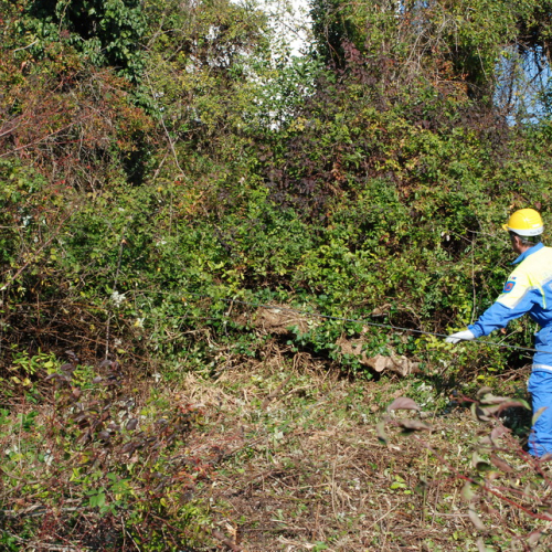Esercitazione 13/11 n. 61 / 72742
