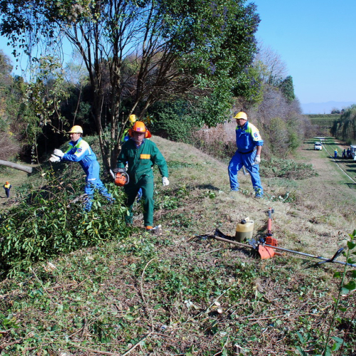 Esercitazione 13/11 n. 75 / 72756