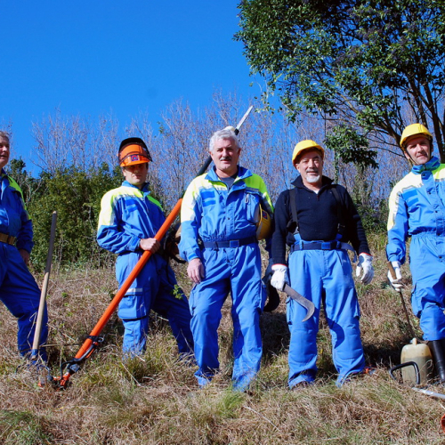 Esercitazione 13/11 n. 76 / 72757