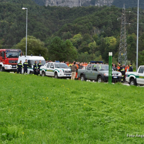 DSC_154.JPG / 114544