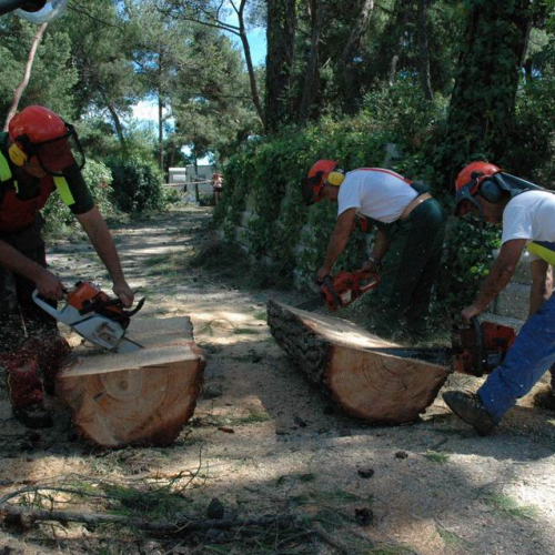 Grado 9.08.2008 50 / 28149