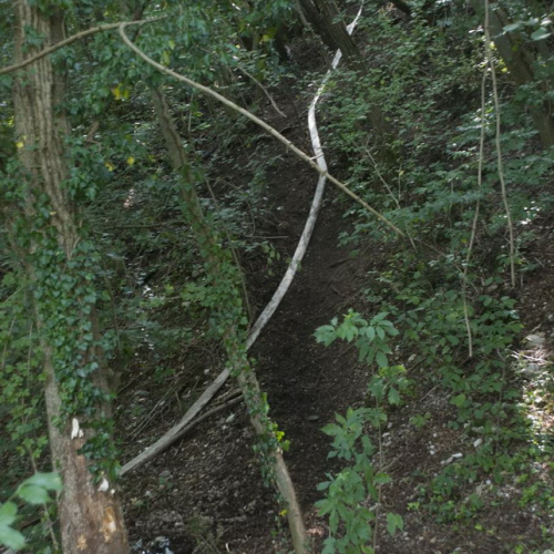 Attivit‡ con i ragazzi del Gruppo di Cavasso Nuovo n. 58 / 85411