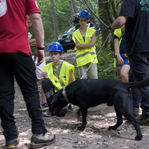 Attivit‡ con i ragazzi del Gruppo di Cavasso Nuovo n. 124 / 85477
