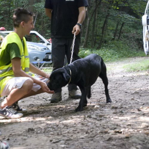 Attivit‡ con i ragazzi del Gruppo di Cavasso Nuovo n. 129 / 85482