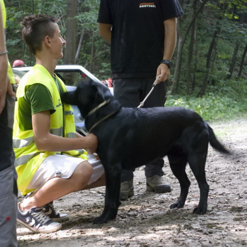 Attivit‡ con i ragazzi del Gruppo di Cavasso Nuovo n. 130 / 85483