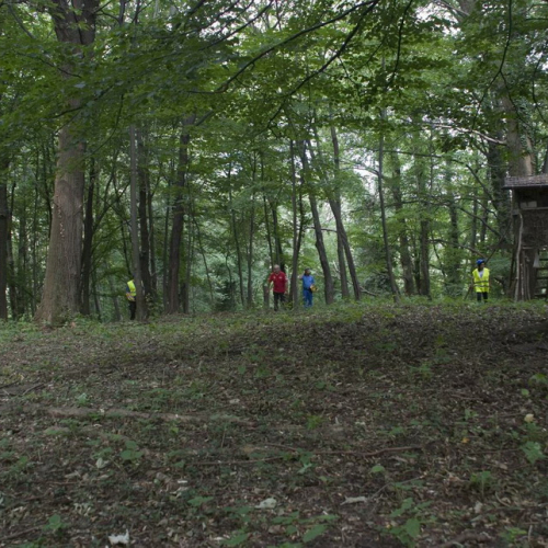 Attivit‡ con i ragazzi del Gruppo di Cavasso Nuovo n. 131 / 85484