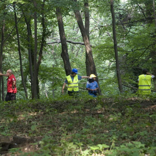 Attivit‡ con i ragazzi del Gruppo di Cavasso Nuovo n. 132 / 85485