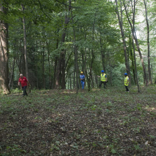 Attivit‡ con i ragazzi del Gruppo di Cavasso Nuovo n. 135 / 85488